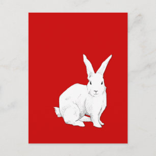 Carte postale rouge lapin