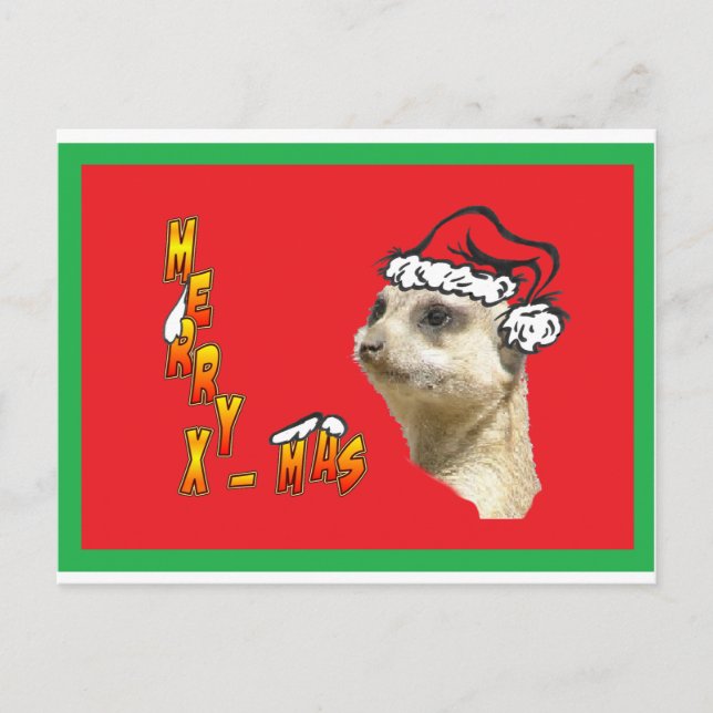 Carte postale rouge Meerkat de Noël (Devant)