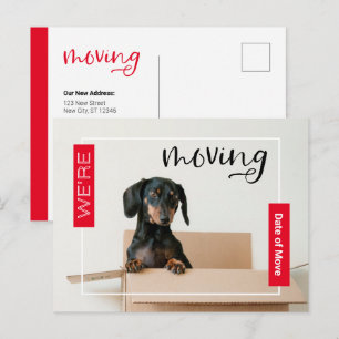 Carte Postale Rouge Nous sommes en train de déplacer Dachshund C