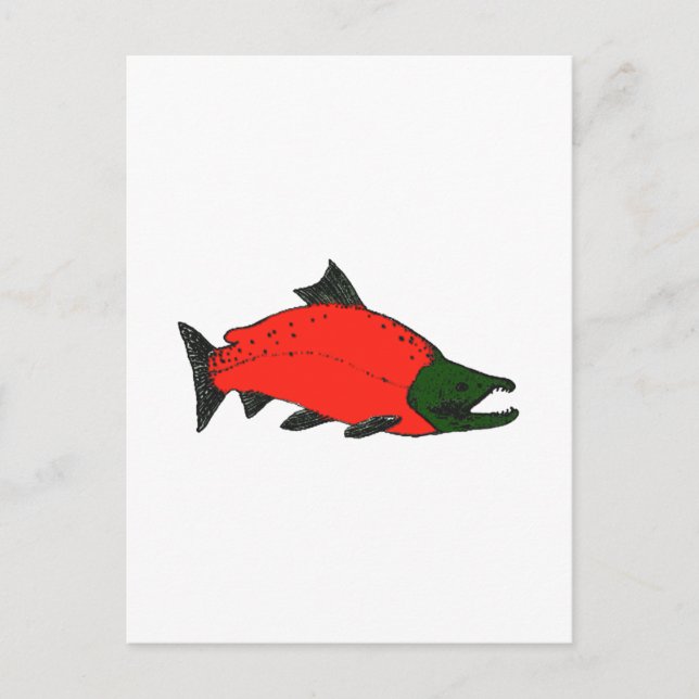 Carte Postale Rouge - Sockeye Saumon Art (Devant)