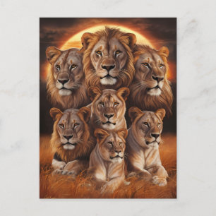 Carte Postale Roulement de la nuit : Lions au clair de lune