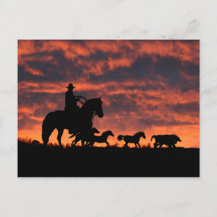 Carte Postale Roundup de Cowboy et Wild Horses