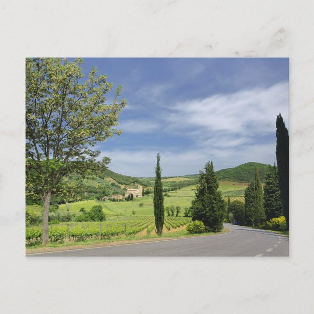 Carte Postale Route de campagne courbée entre cyprès dans (Devant)