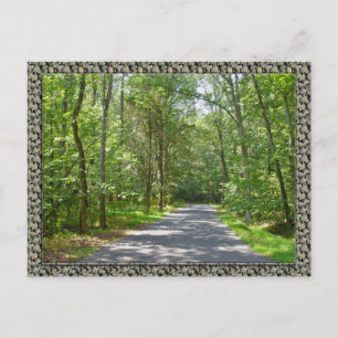 Carte Postale Route de campagne en été