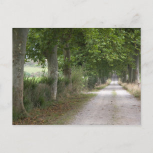 Carte Postale Route de campagne en terre près de la ville de