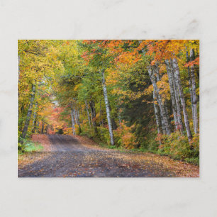 Carte Postale Route de gravier jonchée de feuilles avec couleurs