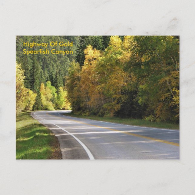 Carte Postale Route De L'Or                  ... (Devant)