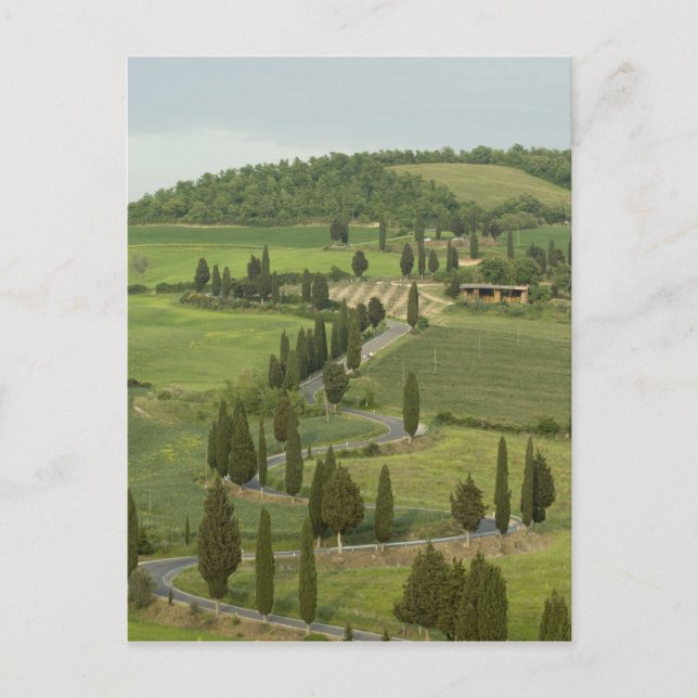 Carte Postale Route de Pienza à Montepulciano, (Devant)