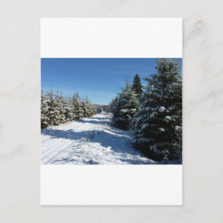 Carte Postale Route d'hiver
