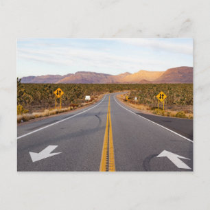 Carte Postale Route Le Parc National Joshua Tree