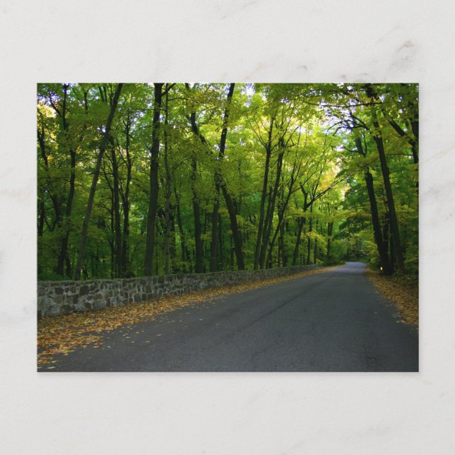 Carte Postale Route North Shore (Devant)