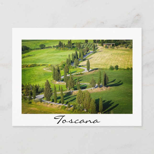 Carte Postale Route sinueuse bordée de Cypress en Toscane (Devant)