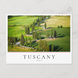 Carte Postale Route sinueuse Cypress en Toscane, Italie