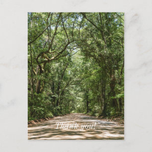 Carte Postale Route vers Angel Oak Merci