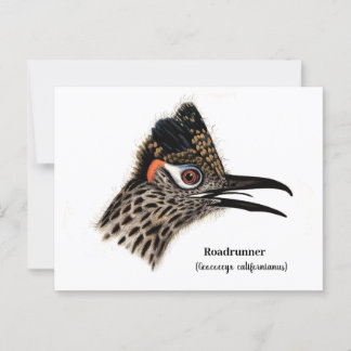 Carte Postale Routeur (Geococcyx californianus)