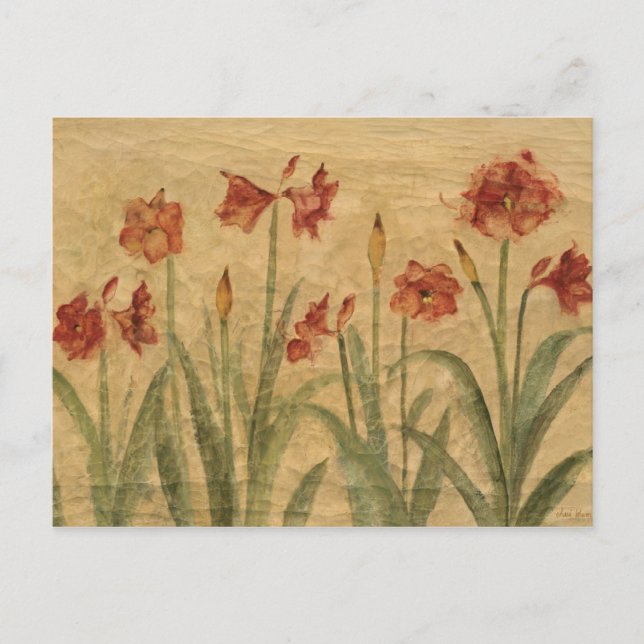 Carte Postale Row of Red Amaryllis (Devant)