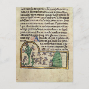 Carte Postale Roy Page de texte avec illustration