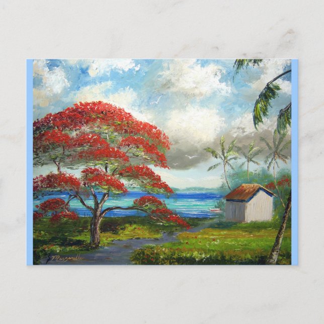 Carte Postale Royal Poinciana & Palm Trees (Devant)