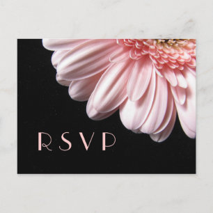 Carte postale RSVP rose Gerbera Daisy