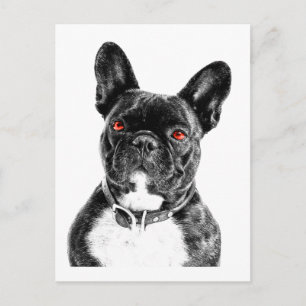 Carte Postale Ruby Eyed French Buldog Portrait