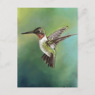 Carte postale Ruby Throsé Hummingbird Art