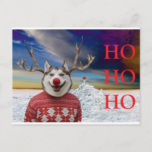 Carte Postale Rudolf le Sibe (Devant)