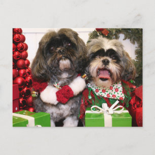 Carte Postale Ruffles et Riley - Shih Tzu - Miller