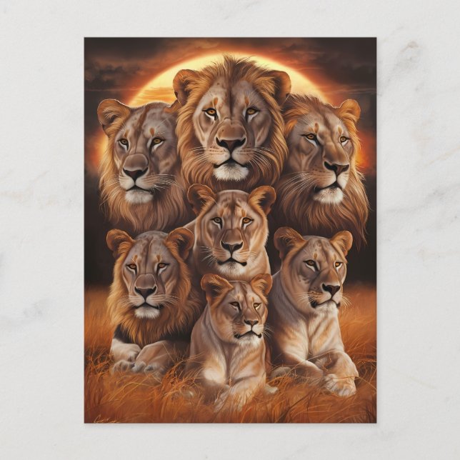 Carte Postale Rugissement de la nuit : Lions au clair de lune (Devant)
