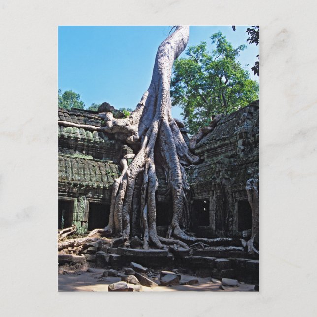 Carte Postale Ruine de Ta Prohm - Angkor Vat, Cambodge, Asie (Devant)