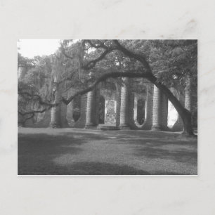 Carte Postale Ruines de l'église Old Sheldon à Yemassee, SC