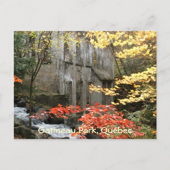 Carte Postale Ruines de Willson, Québec. (Devant)