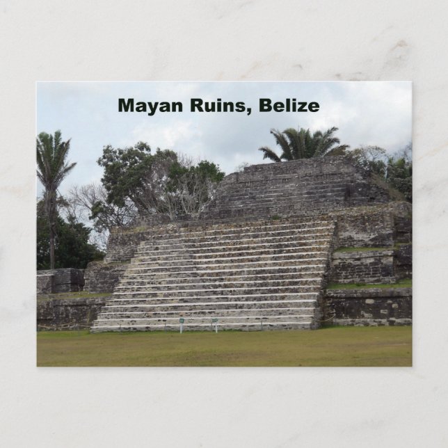 Carte Postale Ruines mayas, Belize (Devant)