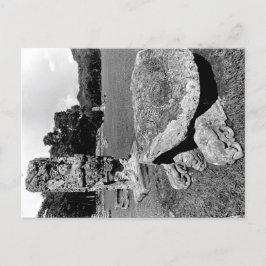 Carte Postale Ruines mayas de la tortue cosmique de Copan