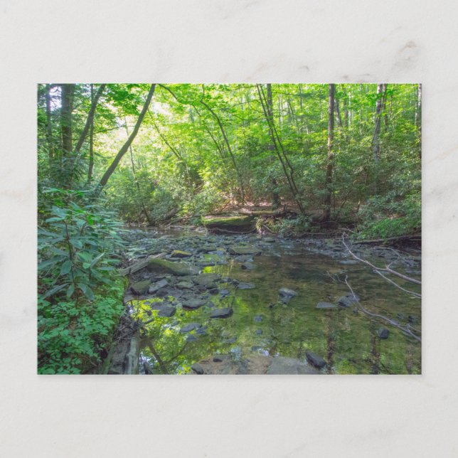 Carte Postale Ruisseau d'abattage de chiens, Kentucky (Devant)