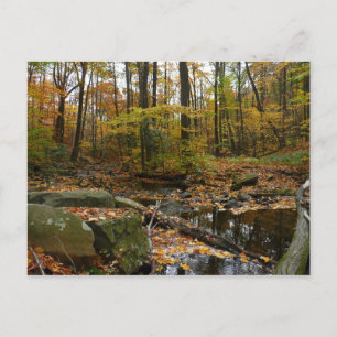Carte Postale Ruisseau de Fall avec reflet au parc Laurel Hill