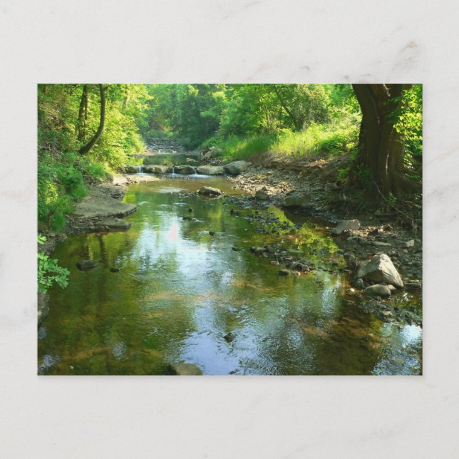Carte Postale ruisseau près de canard creux (Devant)