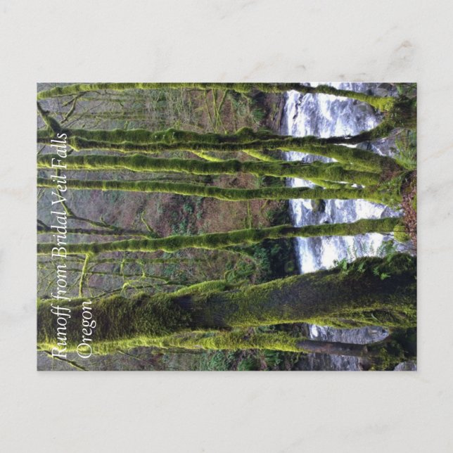 Carte Postale Ruissellement de Bridal Veil Falls, OR (Devant)