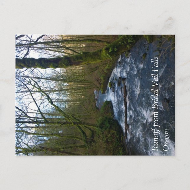 Carte Postale Ruissellement de Bridal Veil Falls, OR (Devant)