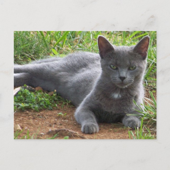 Carte Postale Russie Bleue, Natasha (Devant)