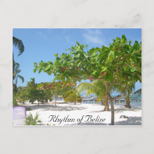 Carte Postale Rythme du Belize