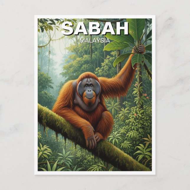 Carte Postale Sabah Malaysia Orangutan Travel (Devant)