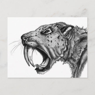 Carte Postale sabertoothPENCIL