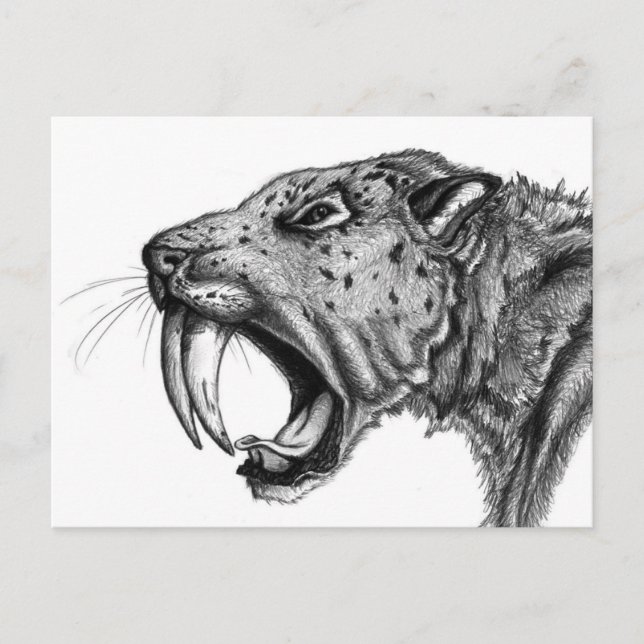 Carte Postale sabertoothPENCIL (Devant)