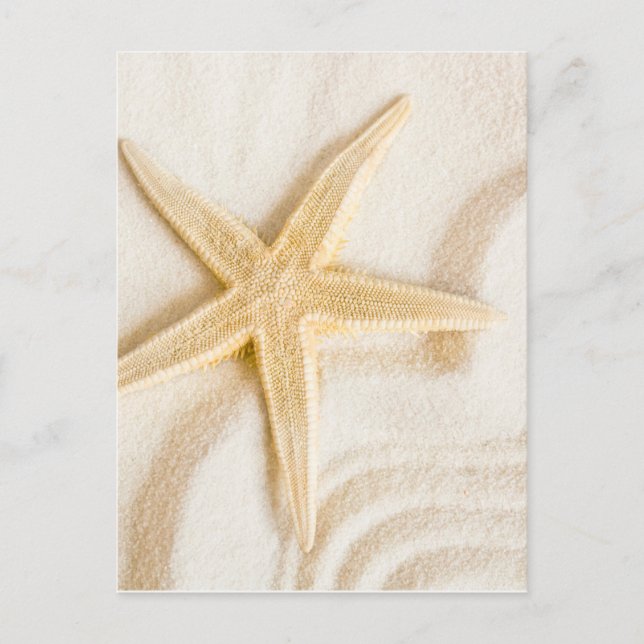 Carte Postale Sable et Starfish couleur neutre naturelle (Devant)