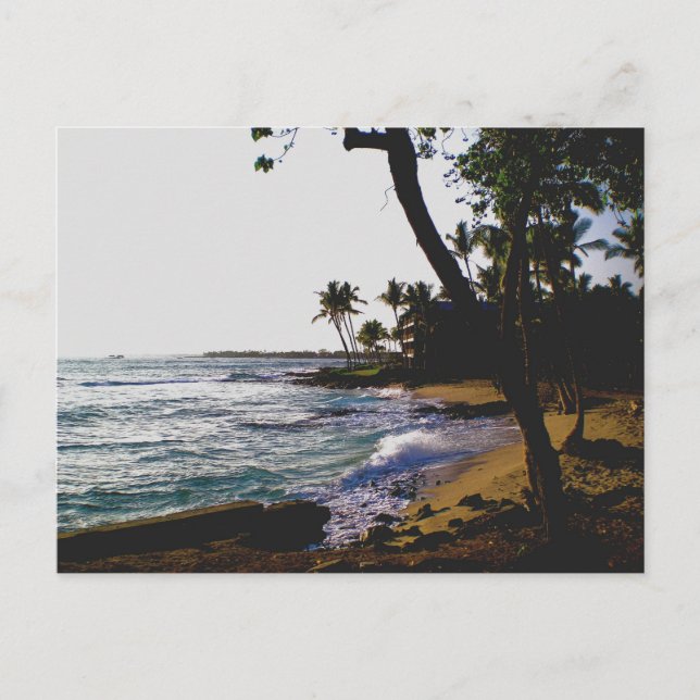 Carte Postale Sable Tropical Doré (Devant)