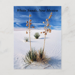 Carte Postale Sables blancs