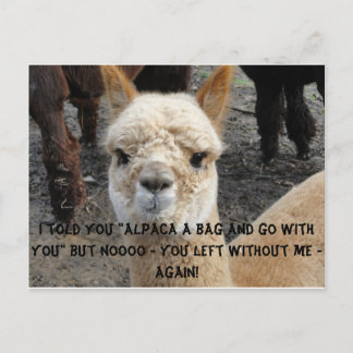 Carte Postale Sac Apaca
