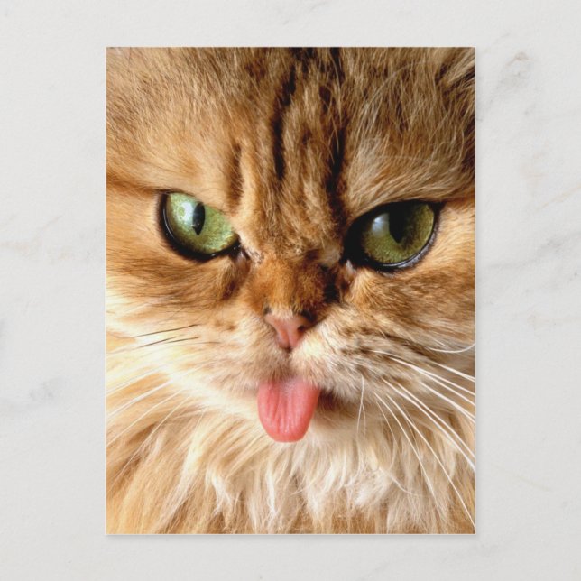 Carte Postale Sachez-moi avec une cuillère (Devant)