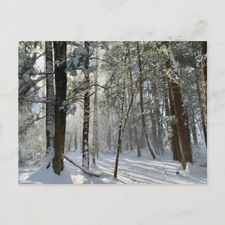 Carte postale Saco Health Preserve Snow