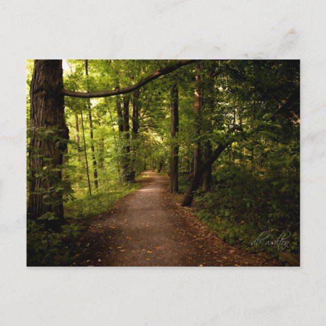 Carte Postale Sacred Grove, Palmyre, New York (Devant)